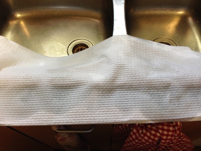 Wet paper towels